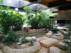 -三江森林温泉度假区