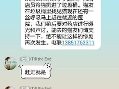 店主杀猫-盛京一禾