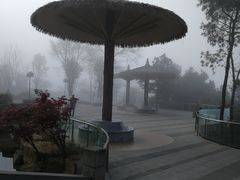 -铁山坪森林公园