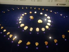 -青岛贝壳博物馆