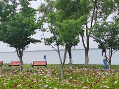 -阳澄湖半岛旅游度假区