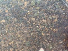 -将军关探险漂流