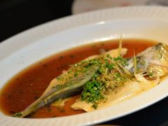 -荷风细雨·中国茶宴(碧云店)