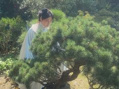 -水绘园