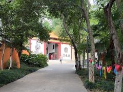 -赭山公园