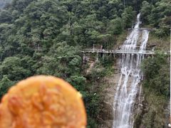 -九龙江国家森林公园