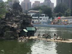 -团结湖公园