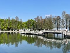 -东湖听涛景区