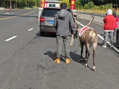 -塞罕坝国家级自然保护区