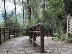 -水濂山森林公园