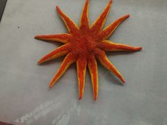 -浙江自然博物院(杭州馆)
