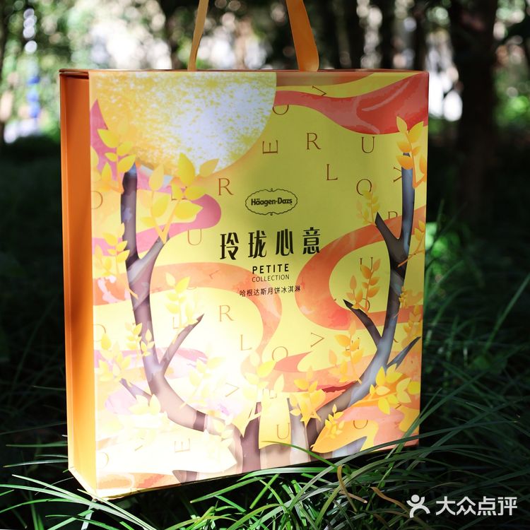 调出位，宠自己，臻享哈根达斯月饼冰淇淋❗
