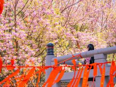 -西安青龙寺遗址景区