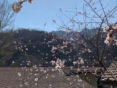 -北京水岸山吧度假村(雁栖镇店)