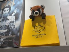 -浣熊唱片店(上海影城店)