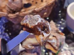 -千岛蚝高压锅生蚝·人参火锅(白云万达店)