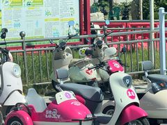 -养马岛旅游度假区
