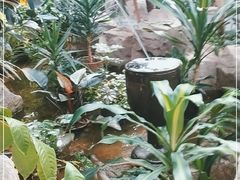 -滕头生态酒店(奉化店)