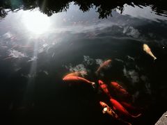 -天目湖山水园