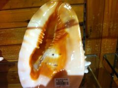 -亚龙湾中心广场·贝壳馆