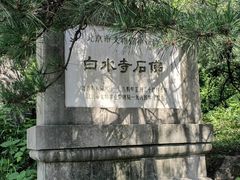 -白水寺森林公园