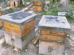 -坝河休闲公园