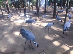 -鄱阳湖国家湿地公园