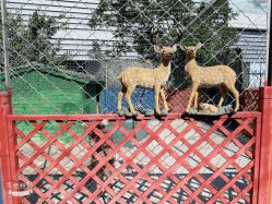 -萌宠亲子动物乐园(槐房万达店)