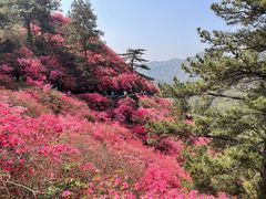 -木兰云雾山