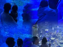-左海海底世界