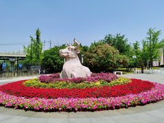 -永定河休闲森林公园