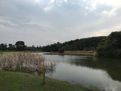 -艾溪湖湿地公园