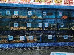 -范饭椰林川湘味海鲜·椰子鸡(三亚湾椰梦长廊店)