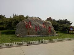 -塘沽森林公园