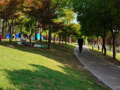 -美兰湖景区