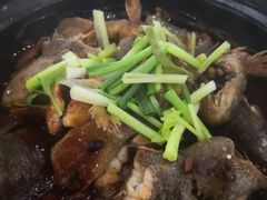 -兴隆槟榔园休闲农庄