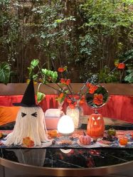 -花隐·美芙炫海菲秀皮肤管理中心