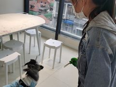 -怪兽屋·羊驼·猫咖·狗咖(俊华广场店)