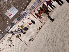 -绍兴启迪乔波冰雪世界