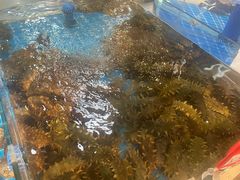 -百纳·锦绣江南 (百纳瑞汀酒店)