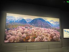 -罗红摄影艺术馆