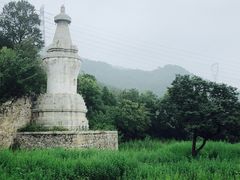 -阳台山自然风景区
