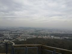 -紫金山山顶公园
