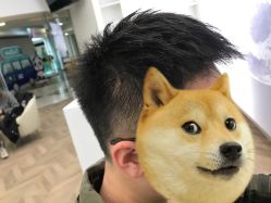 -TRIMS HAIR 修剪造型·烫染接发