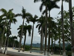 -南宁花花大世界景区