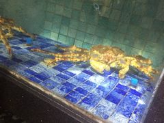 -宝宇大连海鲜渔港(金奎大厦店)