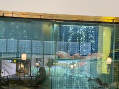 -顺峰顺水顺德菜(龙华店)