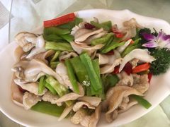 -添福来墨鱼饺子 · 海鲜东北菜(大连星海·黄浦路店)