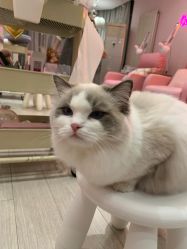 -Beauty Nails 美甲美睫皮肤管理