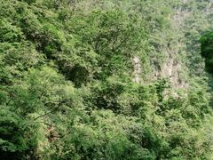 -焦作青龙峡风景名胜区